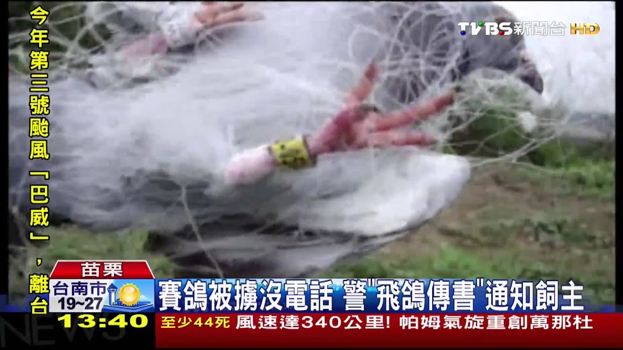賽鴿被擄沒電話　警「飛鴿傳書」通知飼主