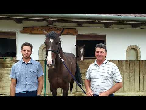 Loós Sanyi is vár mindenkit a Férfi a pályán 7 országos baptista férfitalálkozóra!