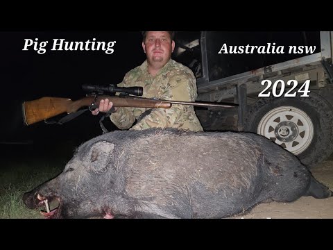 Thermal night hunting for the most destructive feral pigs in Australia nsw.
