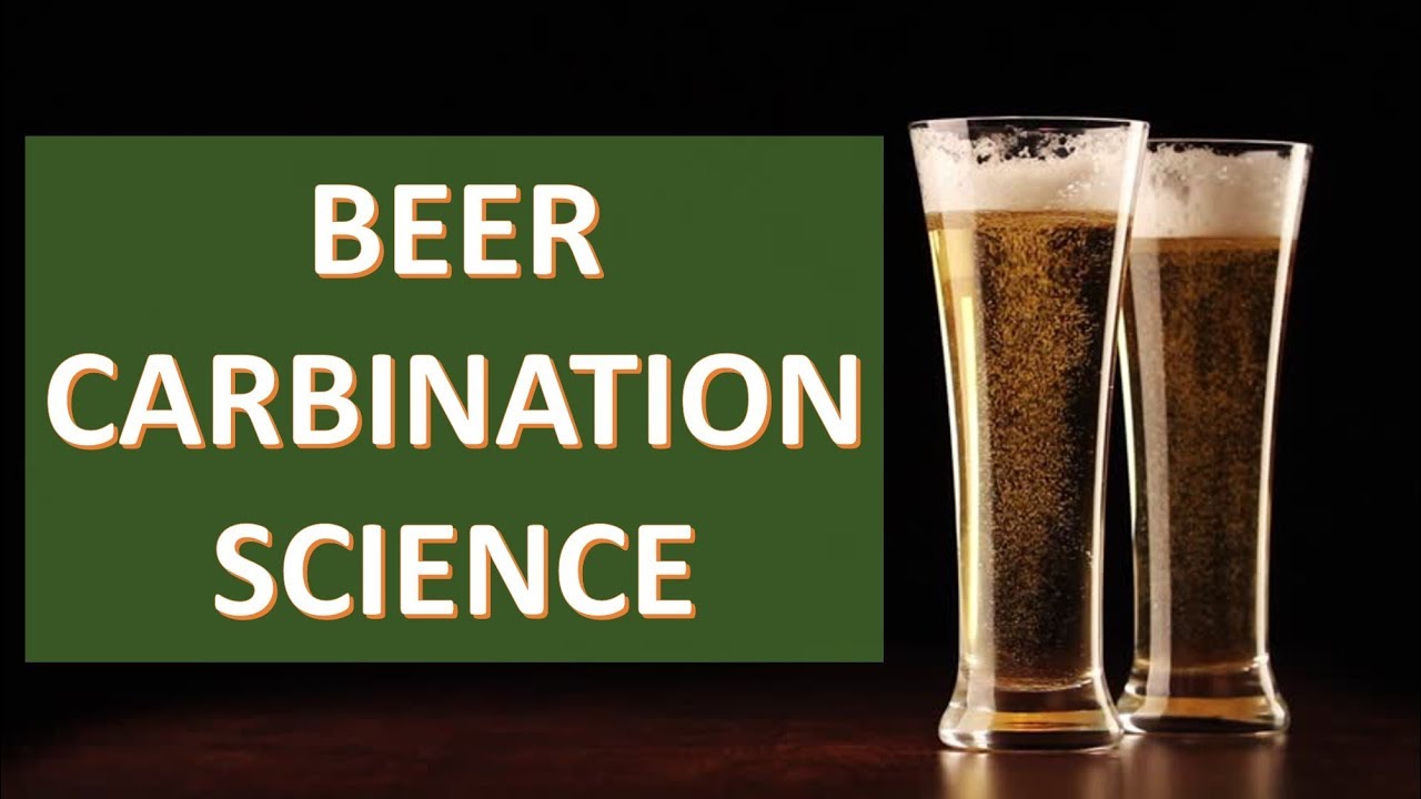 How is CO2 used to brew beer? Tipseri