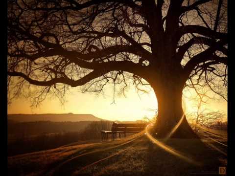 Ferry Corsten feat. Ellie Lawson - A Day Without Rain (Album Edit) [LYRICS]