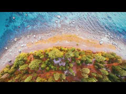 Rupert Holmes-Escape (The Pina Coladas Song) [Türkçe Altyazılı/Turkish Sub]