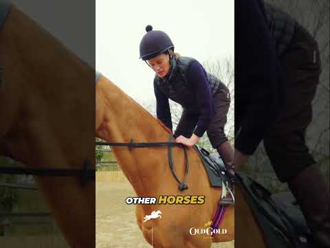 Horse Racing Secrets: Jockey's Hidden Moves!