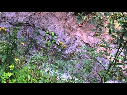 Cascada Putna - Lepsa