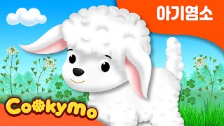 아기염소 동요 | 꾸러기동요 | By Cookymo