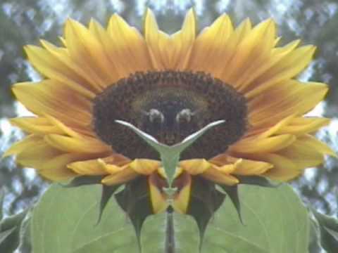 Rudi Müller & Runar Magnusson- Freeze No Extra