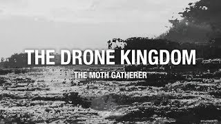 THE MOTH GATHERER
