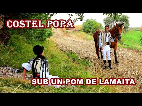 Costel Popa - SUB UN POM DE LAMAITA (OFFICIAL CLIP HD) - Invartita de pe Tarnave