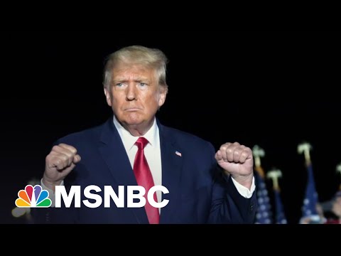 Judge releases parts of Georgia grand jury report on Trump election probe