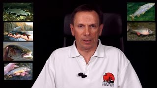 Когда начнется запрет на рыбалку в татарстане