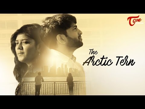 The Arctic Tern | Latest Telugu Short Film 2017 | By Varun Nalluri Video