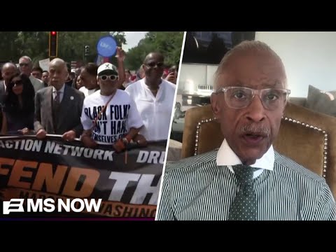 ‘The struggle continues…continue to be relentless’: Rev. on the return of the March on Washington
