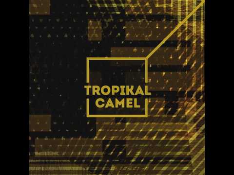 Tropikal Camel-Black Panther