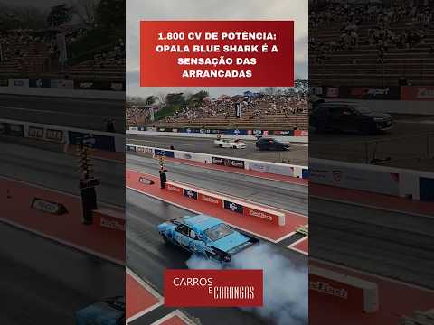 #Shorts   Conheça o Opala Blue Shark