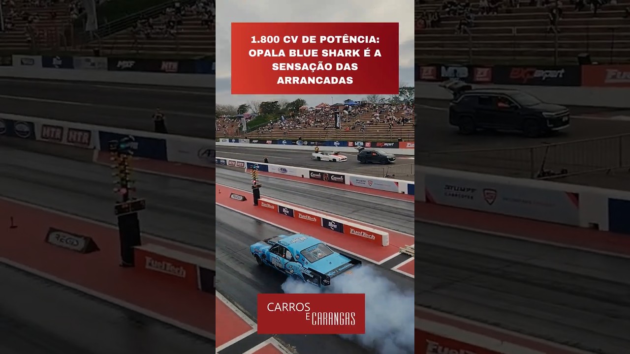 #Shorts   Conheça o Opala Blue Shark