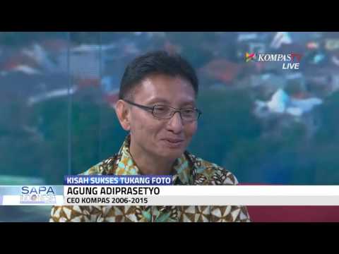 Afobazol mengurangi potensi Membeli di Ukraina patogen kuda