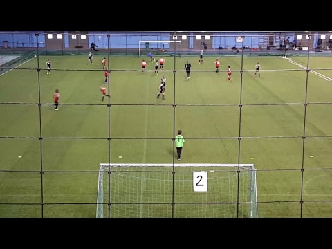 Tervarit 07 mus-Jippo kelt