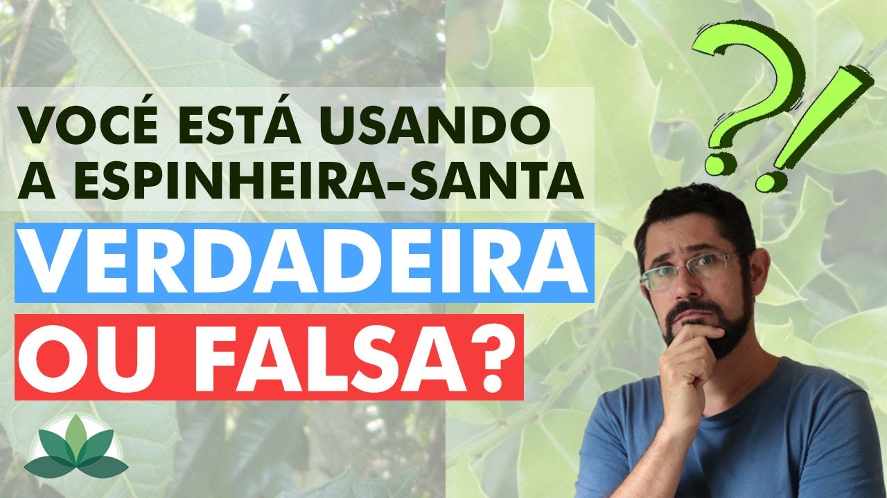 Você está usando a espinheira-santa VERDADEIRA ou FALSA