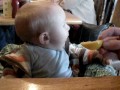 Video 'Baby eating lemon'