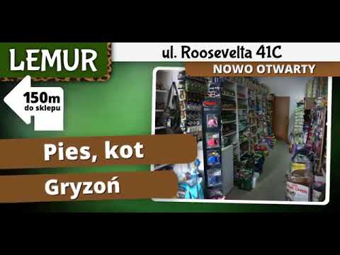 Spot na telebimie Gniezno ul. Żwirki i Wigury - LEMUR