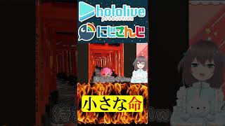 小さな命【にじさんじ＆ホロライブ】夏色まつり/星川サラ #hololive   #にじさんじ #vtuber #ホロライブ #切り抜き