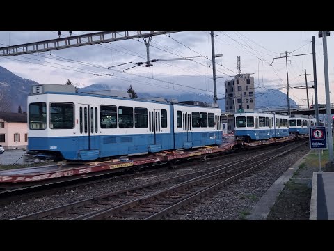 SBBC Re 6/6 mit VBZ Tram2000 und Gz einfahrt in Buchs SG