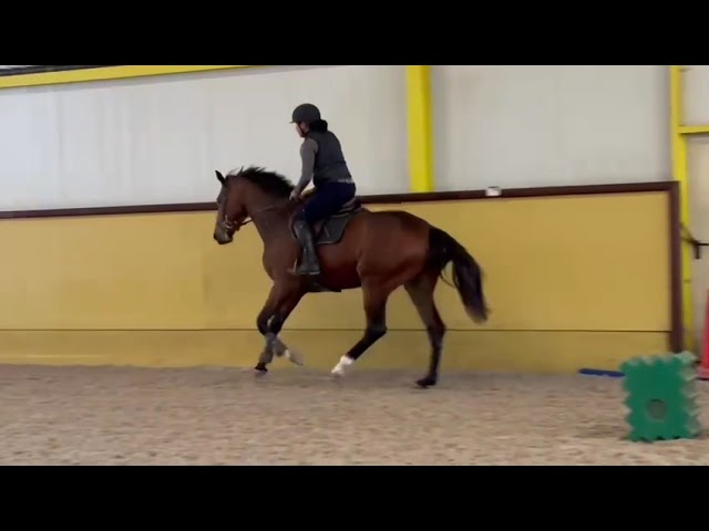 Riding Movie Cooper Nieuwmoed Z