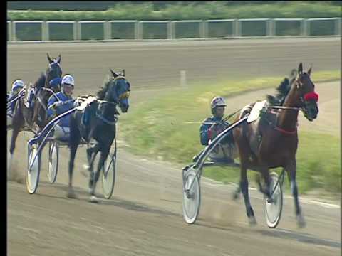 Trotto 19/05/2017 - 5ª corsa