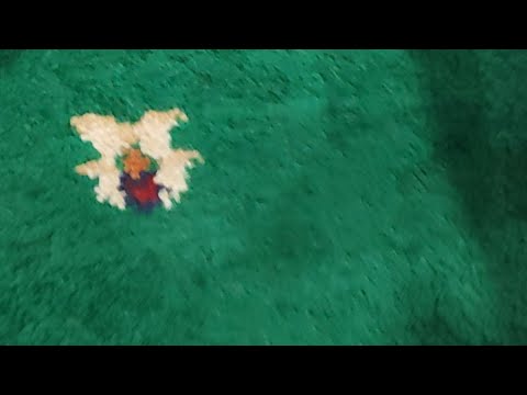 Live | Hakikat Kehidupan