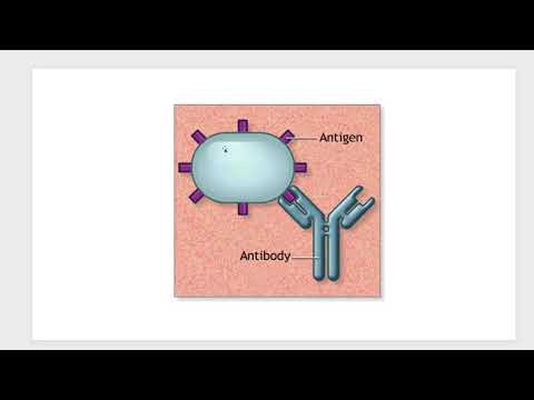 Immunology | BIO 220 Lectures