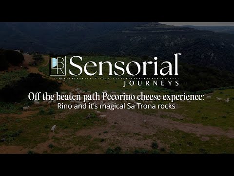 Off the Beaten Path Pecorino Cheese Experience in Sardinia | Sensorial Journeys