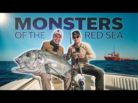 🌊🎣 Angeln im Roten Meer – Jagd auf den Monster GT in Ägypten! 🇪🇬🐟