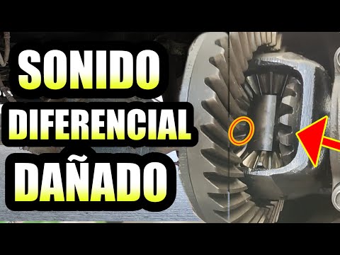 RUIDO al ACELERAR / DIFERENCIAL ZUMBA DEMASIADO RUIDO / Sintomas de un diferencial DAÑADO