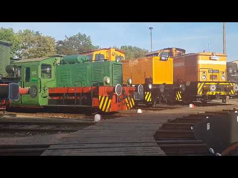 DR Flair mit Dampf und Diesel! BW Glauchau