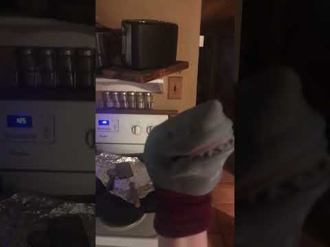 Shark puppet: ￼Bruce sings Macarena￼
