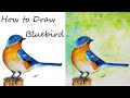 How to Draw Bluebird || Using Acrylic Colours