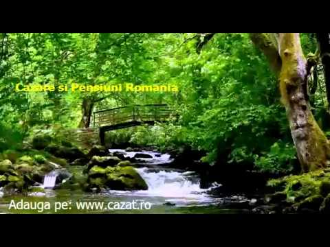 Cazare Podisu, Salaj - Cazat.ro