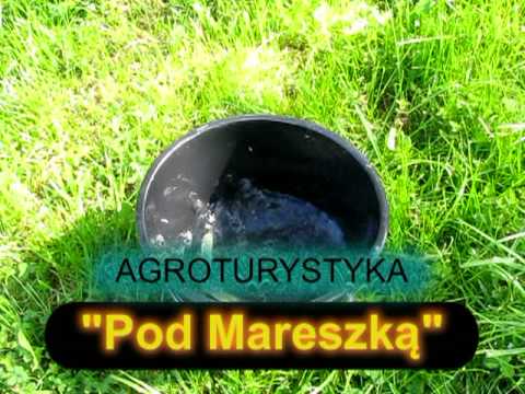 AGROTURYSTYKA Pod Mareszką Świątkowa Wielka.mpg