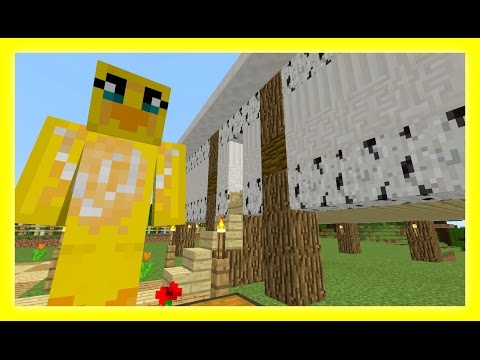 Feather Adventures : FA Airport - {201} - Sqaishey