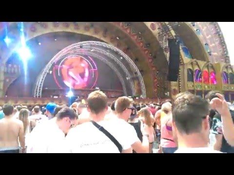 Sandro silva tomorrowland-2014