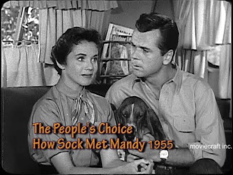The People's Choice How Sock Met Mandy 1955. Jackie Cooper, Patricia Breslin, Cleo the Basset Hound