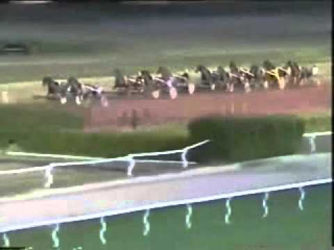 Grand Prix Paris Turf 2005 -Ilster d'Espiens