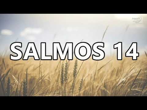 Salmos 14