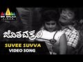 Jeevitha Chakram Video Songs Suvee Suvva Video Song NTR Vanisri Sharada Sri Balaji Video