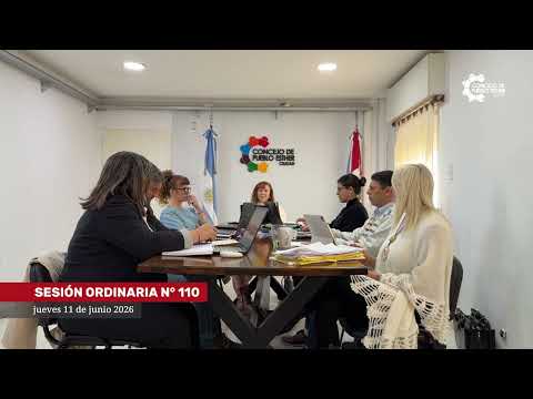 SESIÓN ORDINARIA N° 110