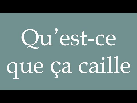How to Pronounce ''Qu’est-ce que ça caille'' (How cold it is) Correctly in French