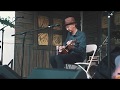 Terry Robb Live at the Waterfront Blues Festival 2017