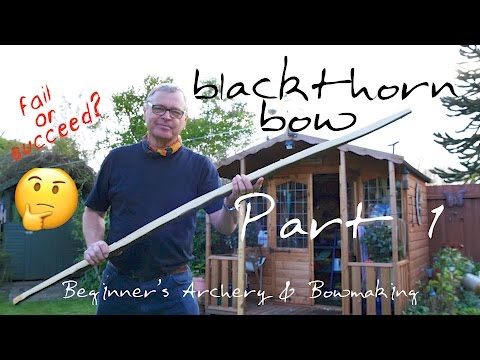 Is there a Longbow in this piece of Wood? Blackthorn Longbow. Part One. Woodland to Stave.