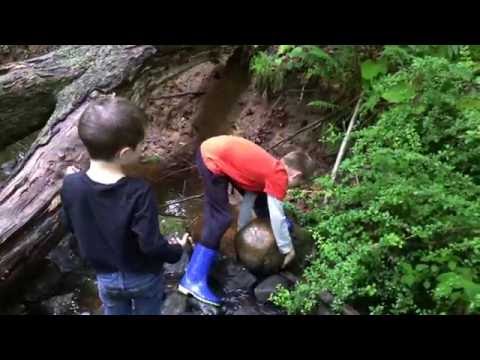 Child Explorers: Crawfish and Square Rocks