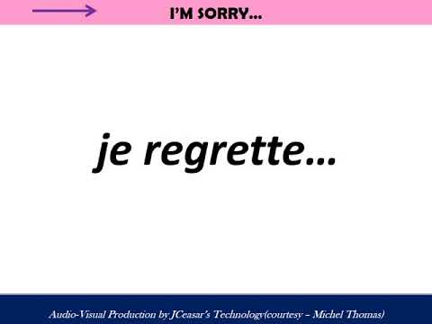 Michel Thomas --part-3 (audio-video production)